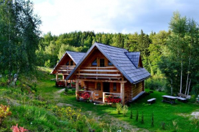 Отель Leśniówka Domki W Karpaczu  Карпач